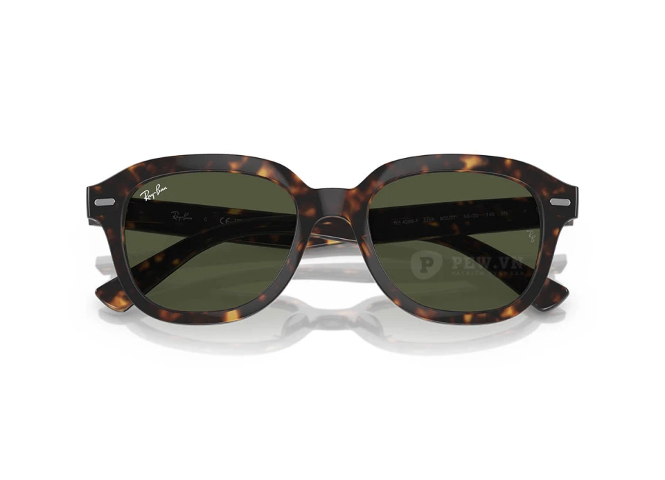 Ray-Ban Erik RB4398F-902/31(53)