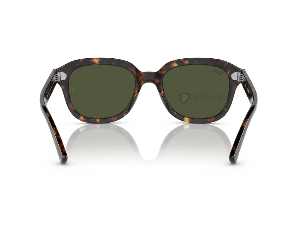 Ray-Ban Erik RB4398F-902/31(53)