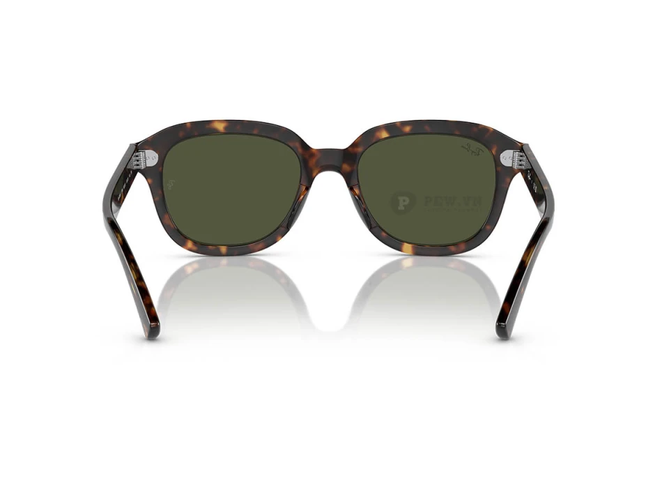 Ray-Ban Erik RB4398F-902/31(53)