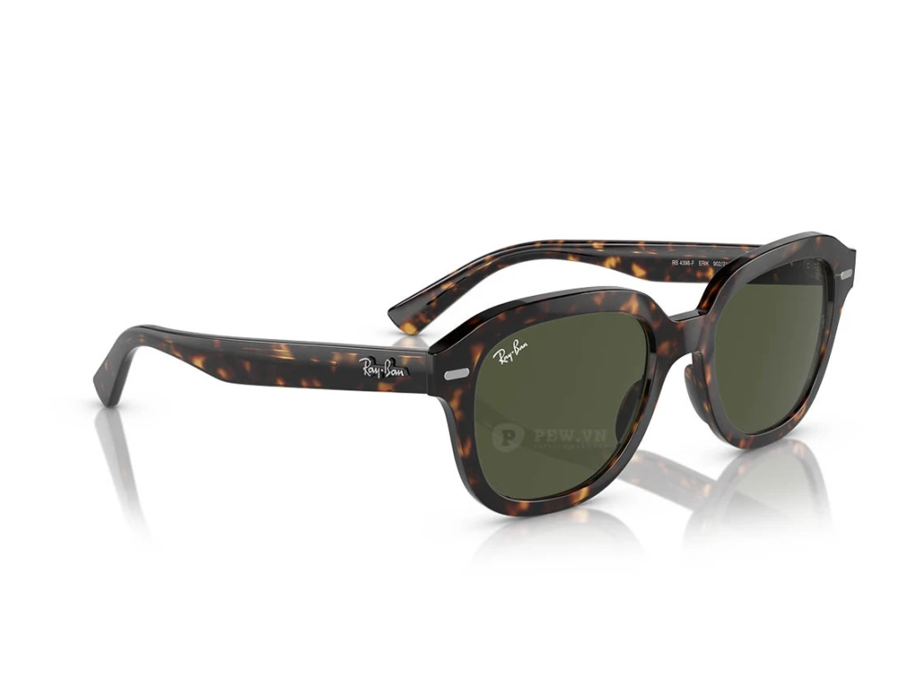 Ray-Ban Erik RB4398F-902/31(53)