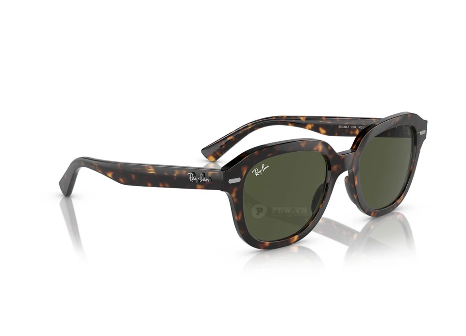 Ray-Ban Erik RB4398F-902/31(53)