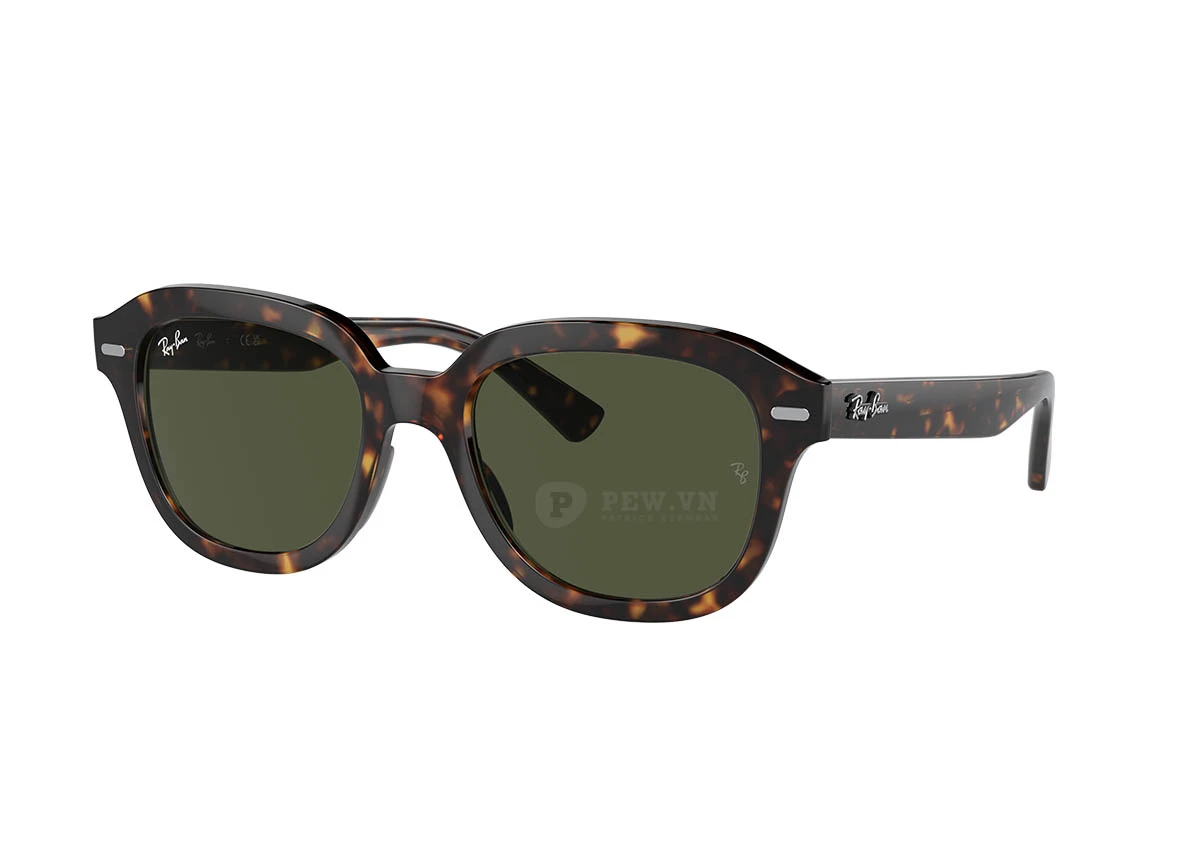 Ray-Ban Erik RB4398F-902/31(53)