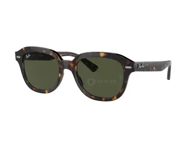 Ray-Ban Erik RB4398F-902/31(53)