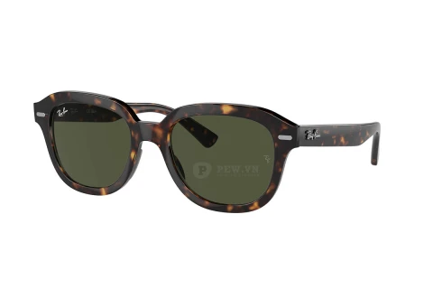 Ray-Ban Erik RB4398F-902/31(53)