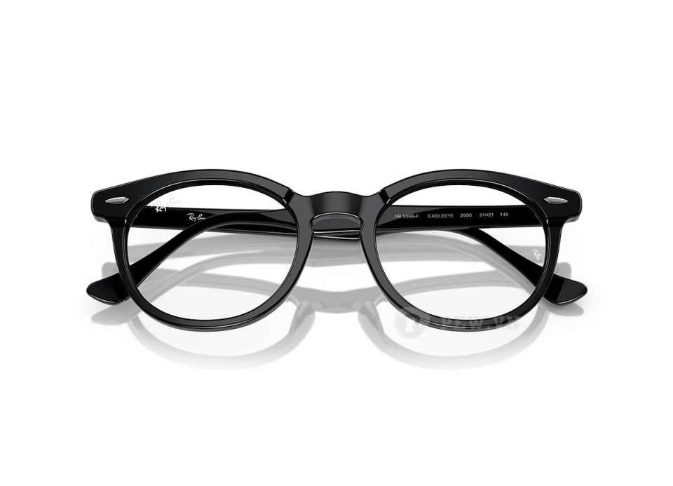 Ray-Ban Eagle Eye RX5598F-2000(51)