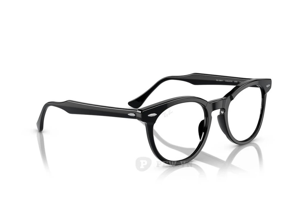Ray-Ban Eagle Eye RX5598F-2000(51)
