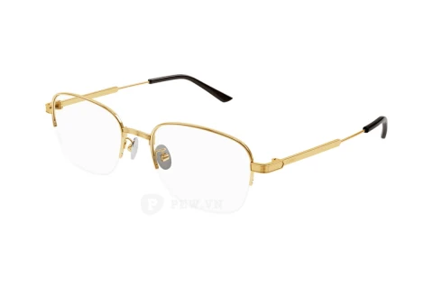 Cartier CT0382O 001 (53)