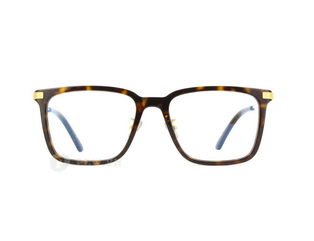 Cartier CT0384O 002 (54)