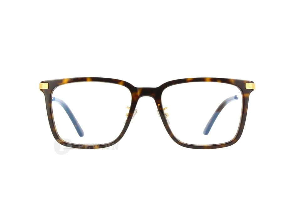 Cartier CT0384O 002 (54)