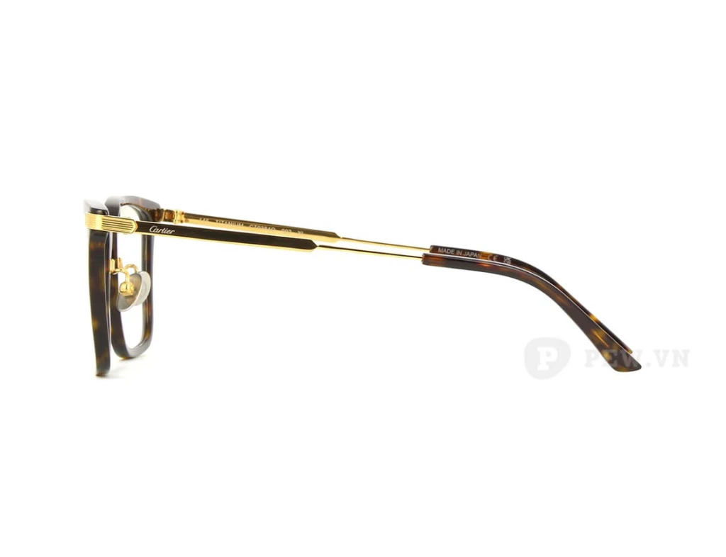 Cartier CT0384O 002 (54)