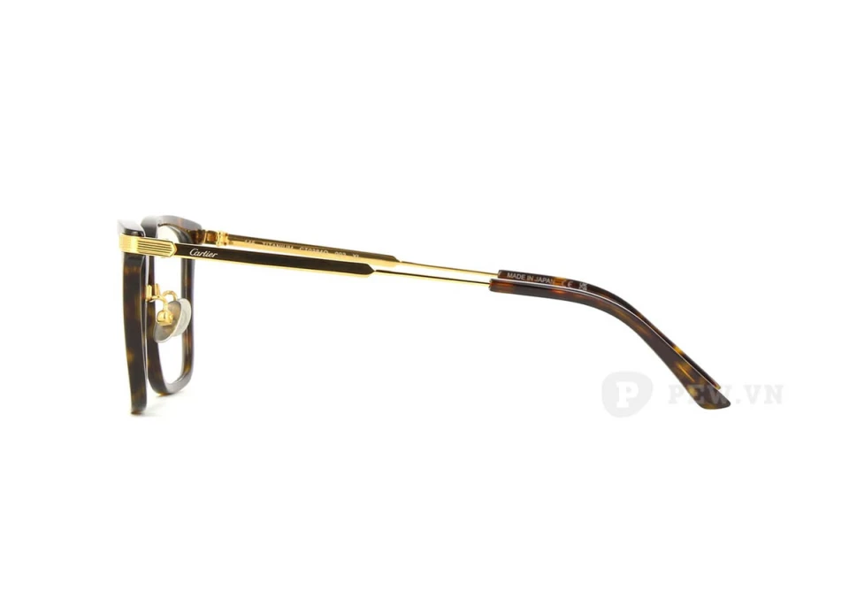 Cartier CT0384O 002 (54)