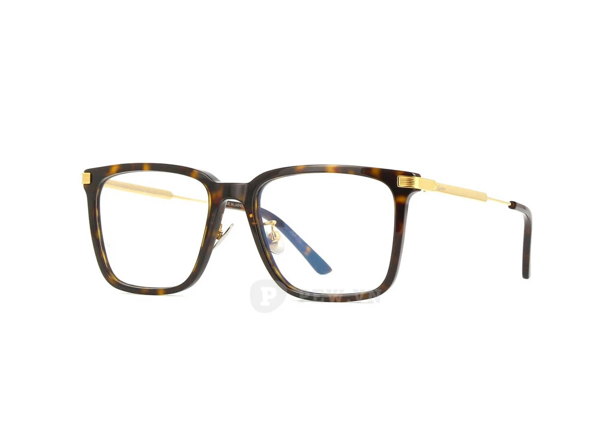 Cartier CT0384O 002 (54)