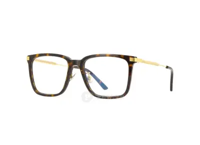 Cartier CT0384O 002 (54)