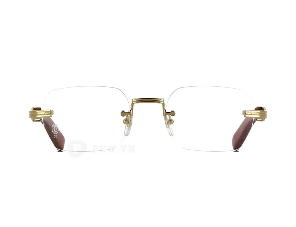 Cartier CT0377O 002 (53)