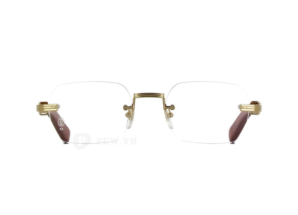 Cartier CT0377O 002 (53)