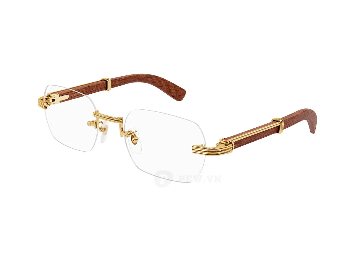 Cartier CT0377O 002 (53)
