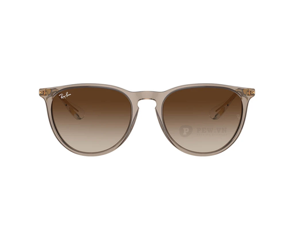 Ray-Ban Erika RB4171F-6744/13(54)