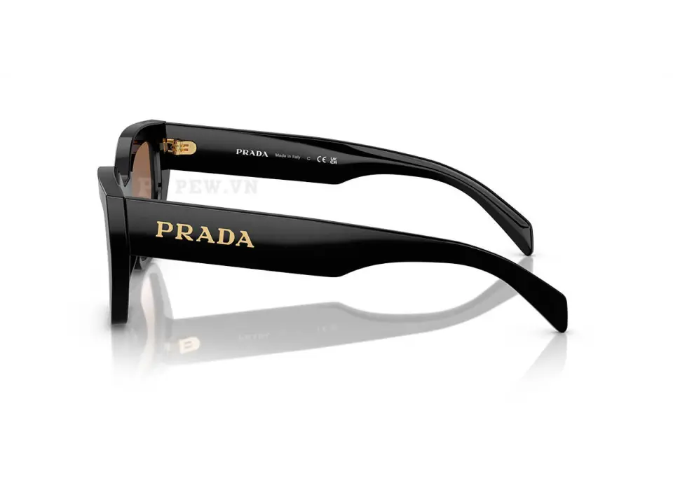 Prada PRA09S-1AB0A6