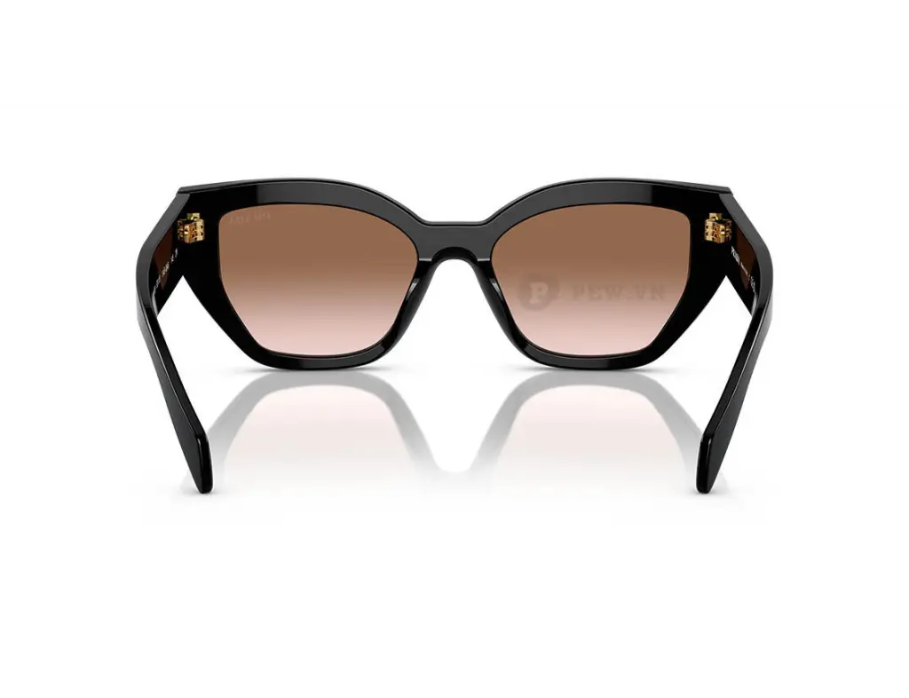 Prada PRA09S-1AB0A6