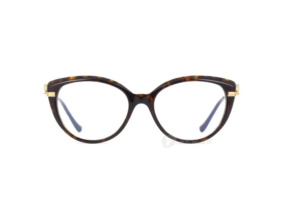 Cartier CT0283O 002 (53)