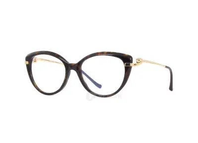 Cartier CT0283O 002 (53)