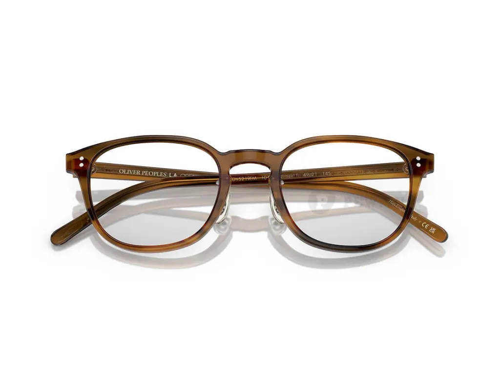 Oliver Peoples OV5219FM-1011(49)