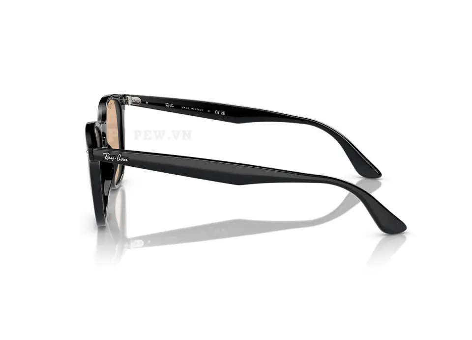 Ray-Ban RB4258F-601/93(52)