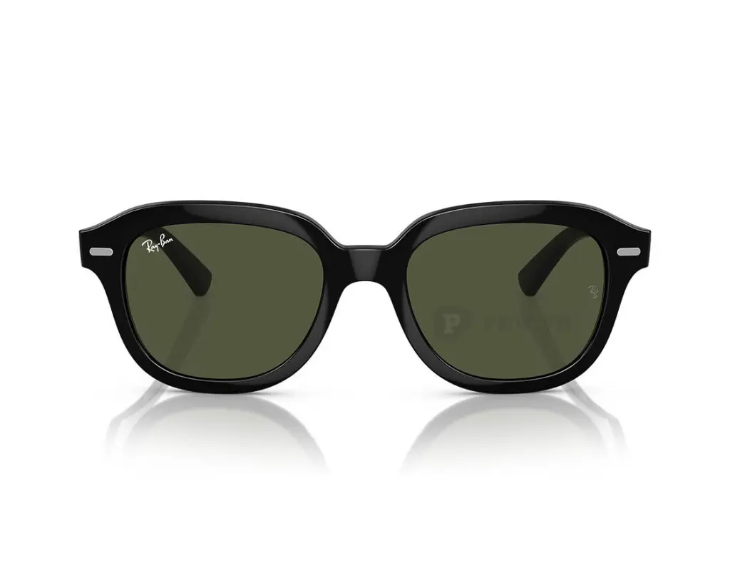 Ray-Ban Erik RB4398F-901/31(53)