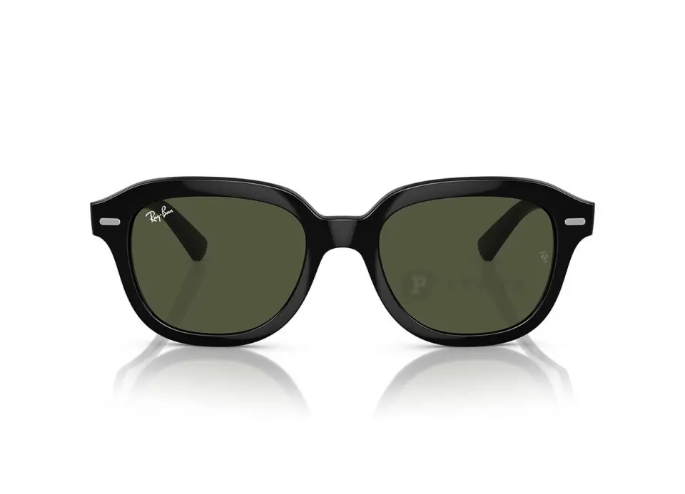 Ray-Ban Erik RB4398F-901/31(53)