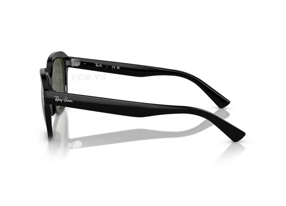 Ray-Ban Erik RB4398F-901/31(53)