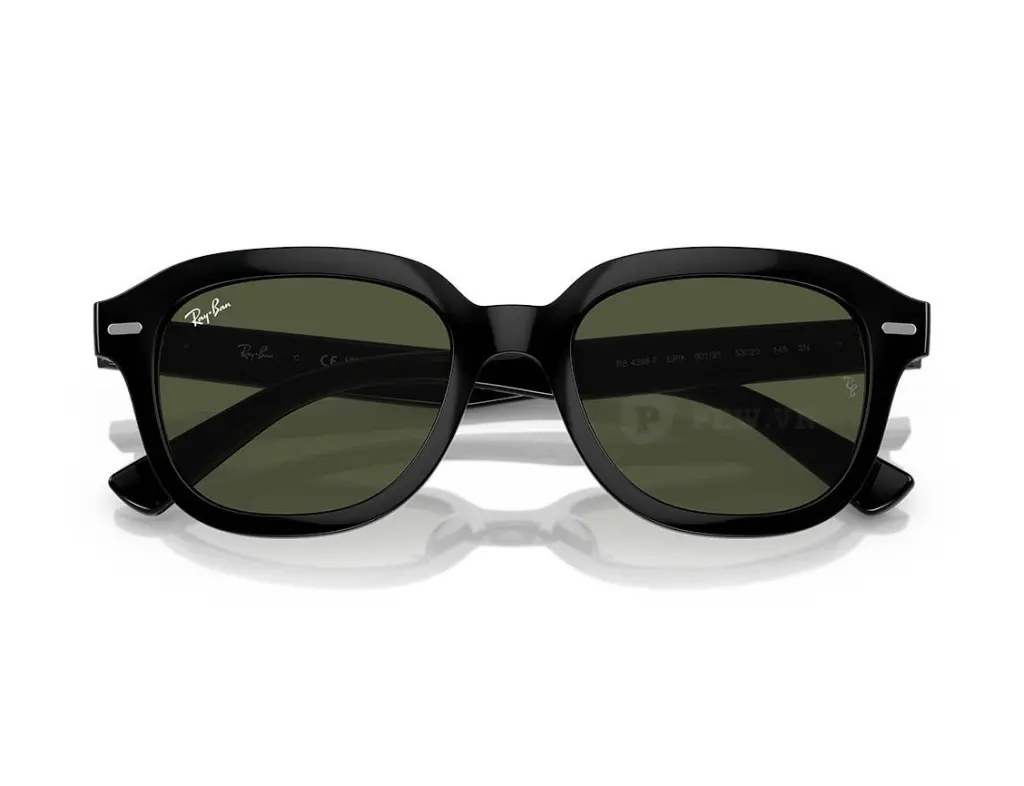 Ray-Ban Erik RB4398F-901/31(53)