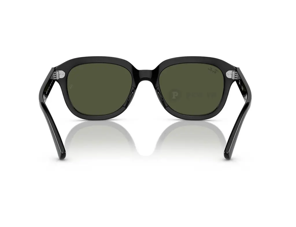 Ray-Ban Erik RB4398F-901/31(53)