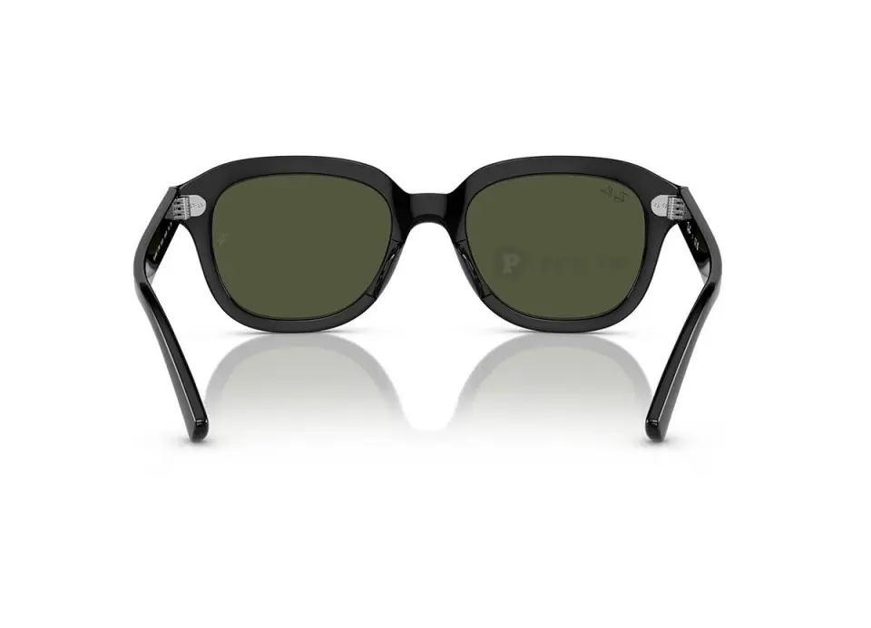 Ray-Ban Erik RB4398F-901/31(53)