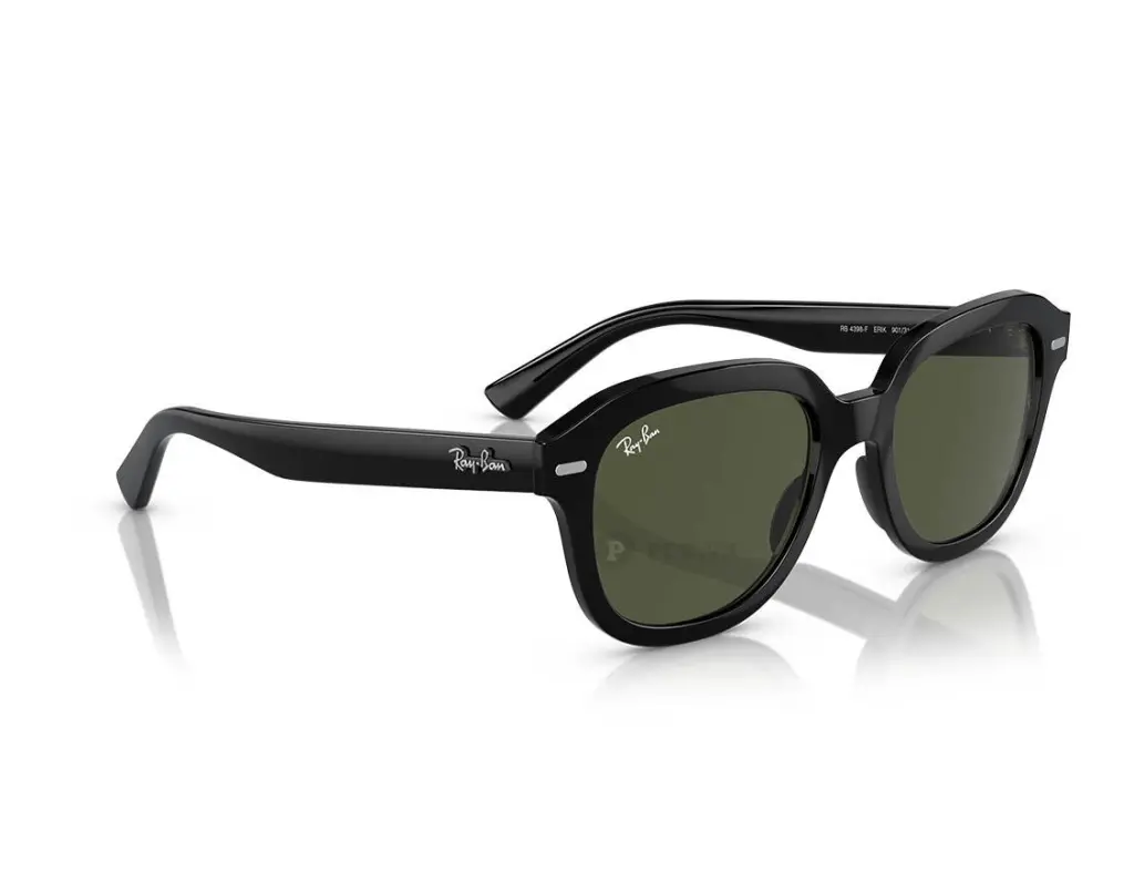 Ray-Ban Erik RB4398F-901/31(53)