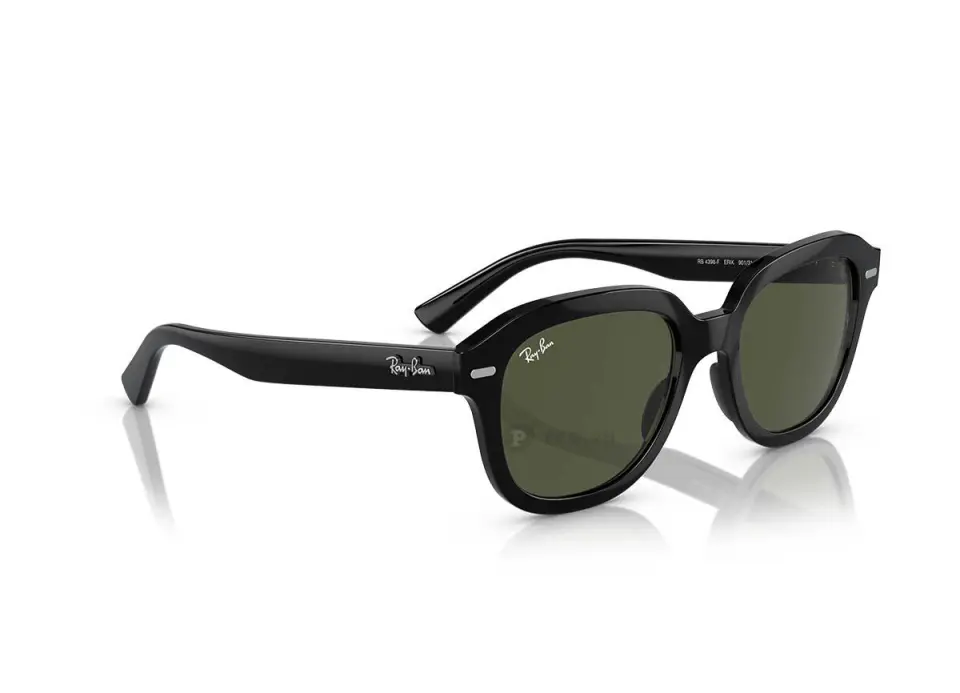 Ray-Ban Erik RB4398F-901/31(53)