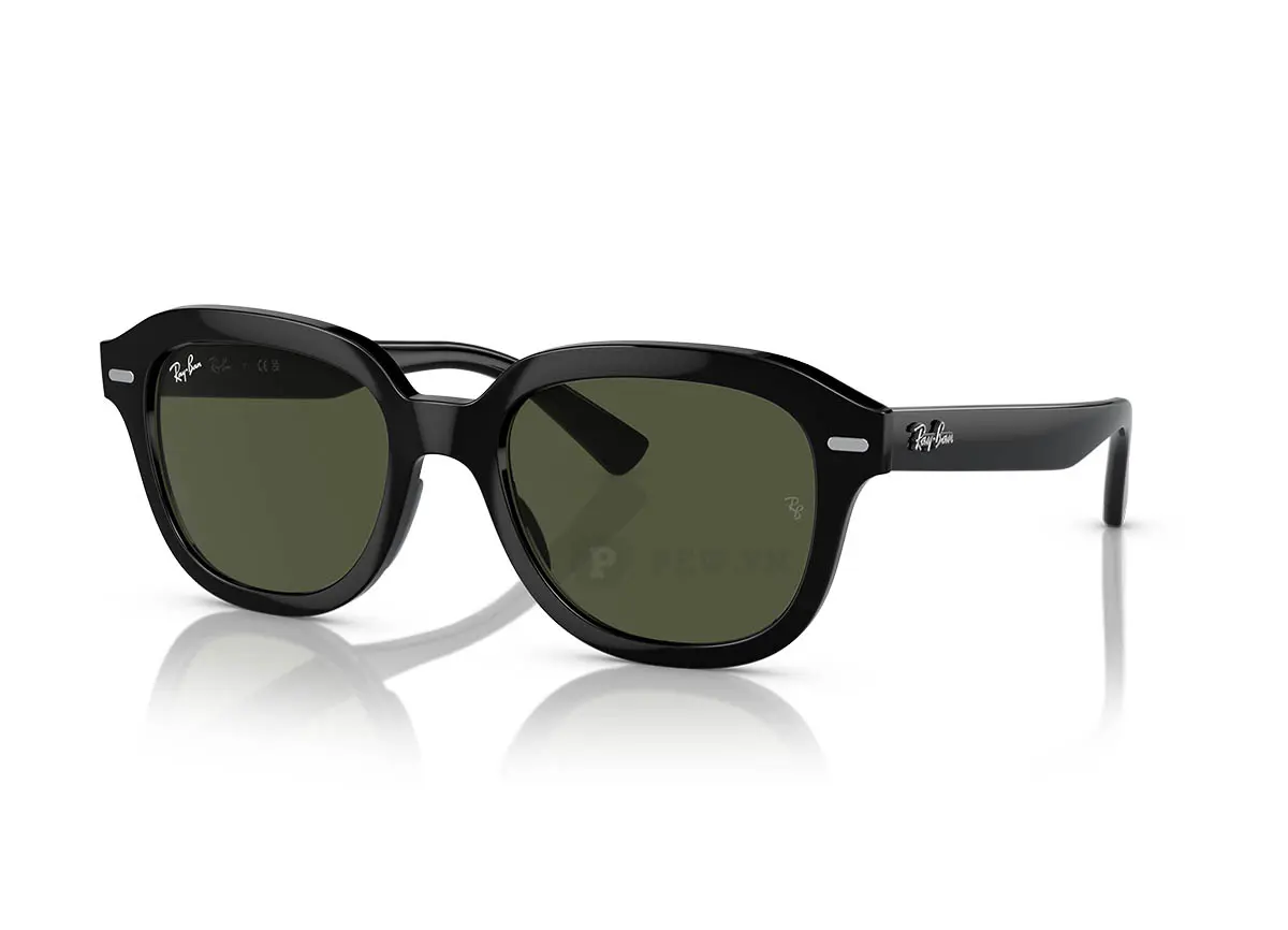 Ray-Ban Erik RB4398F-901/31(53)