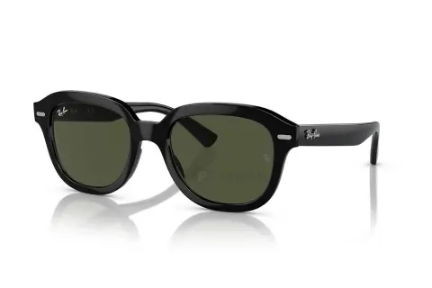 Ray-Ban Erik RB4398F-901/31(53)
