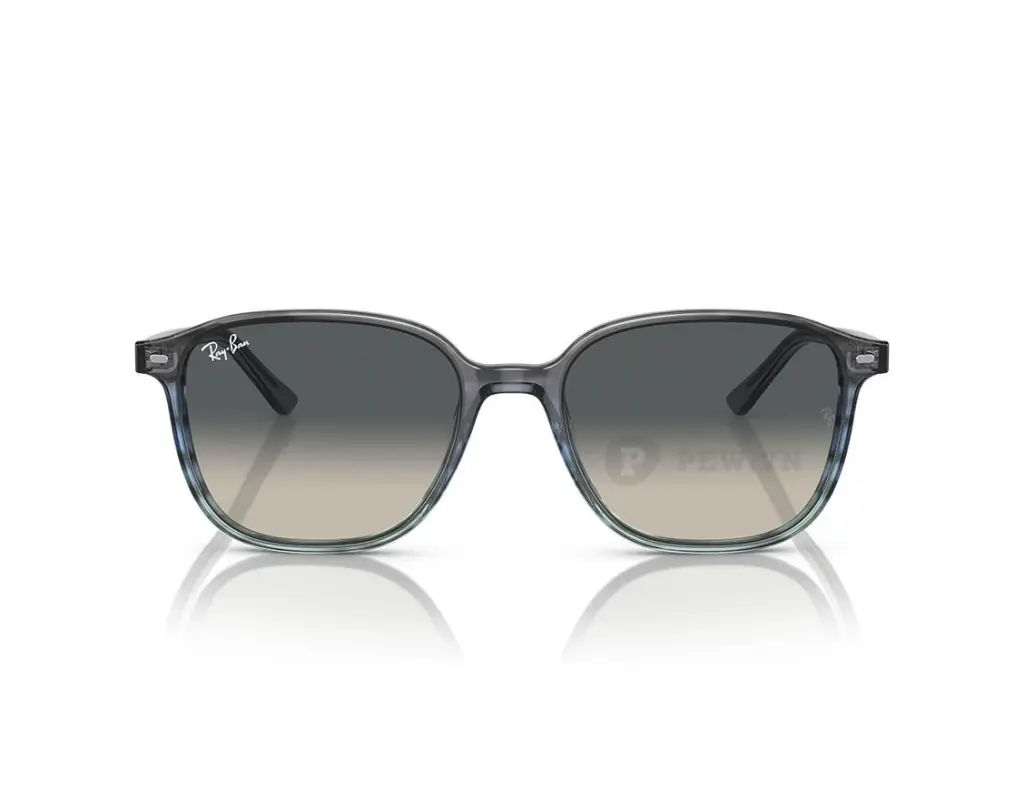 Ray-Ban Leonard RB2193F-1381/71(55)