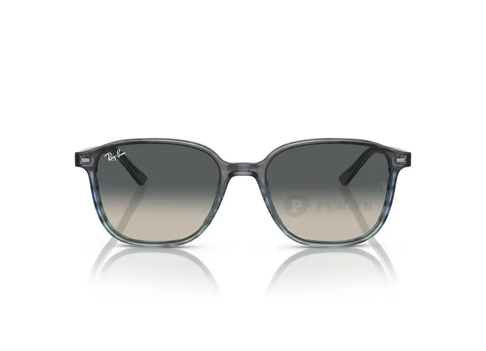 Ray-Ban Leonard RB2193F-1381/71(55)