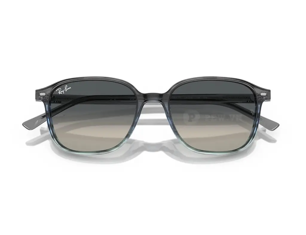 Ray-Ban Leonard RB2193F-1381/71(55)