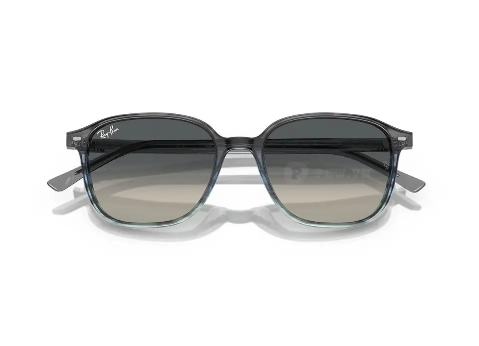 Ray-Ban Leonard RB2193F-1381/71(55)