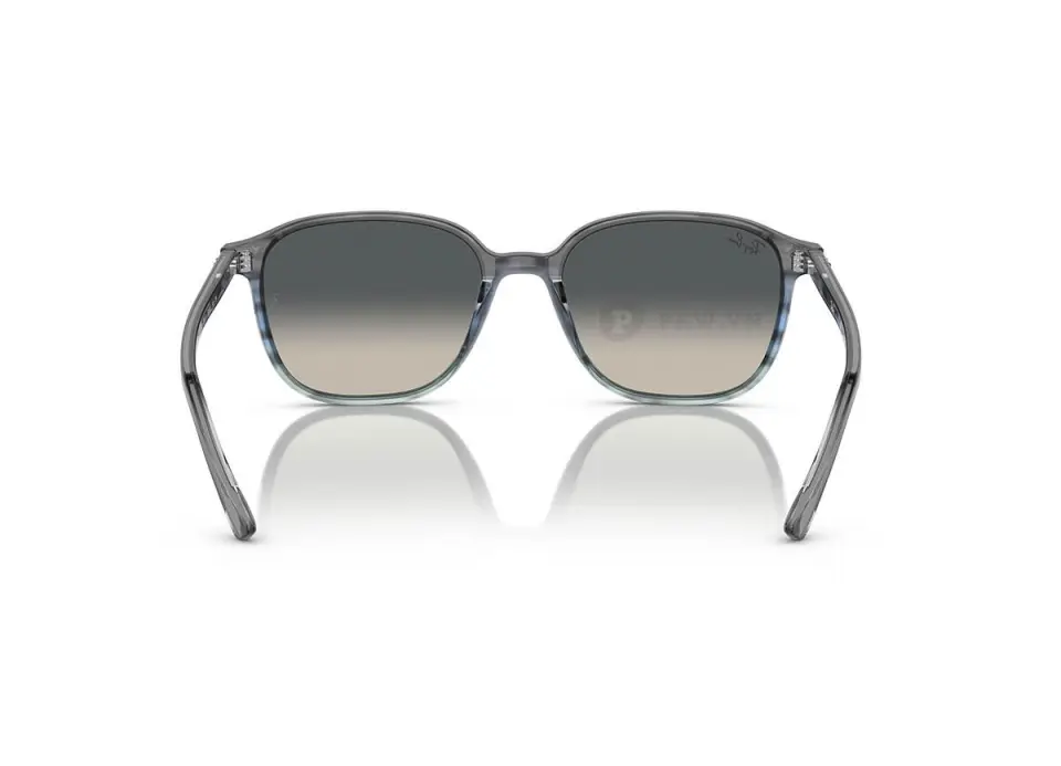 Ray-Ban Leonard RB2193F-1381/71(55)