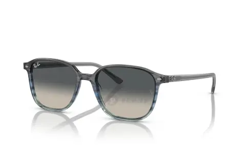 Ray-Ban Leonard RB2193F-1381/71(55)