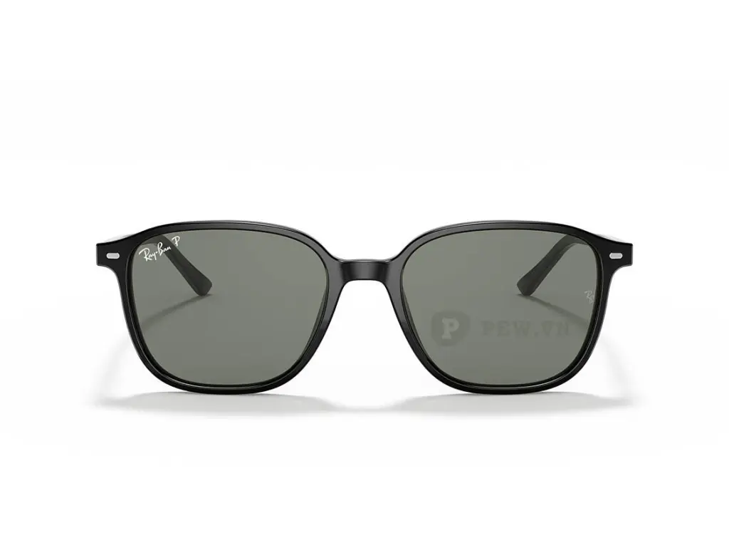 Ray-Ban Leonard RB2193F-901/58(55)