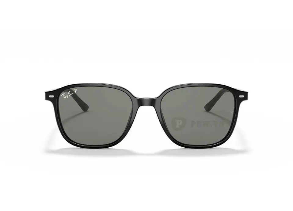 Ray-Ban Leonard RB2193F-901/58(55)