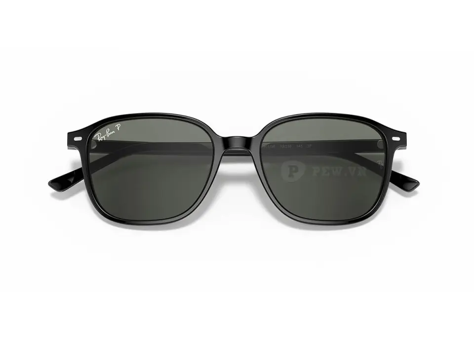 Ray-Ban Leonard RB2193F-901/58(55)