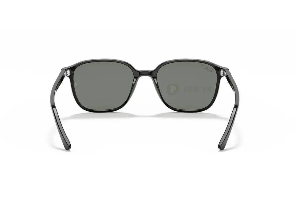 Ray-Ban Leonard RB2193F-901/58(55)