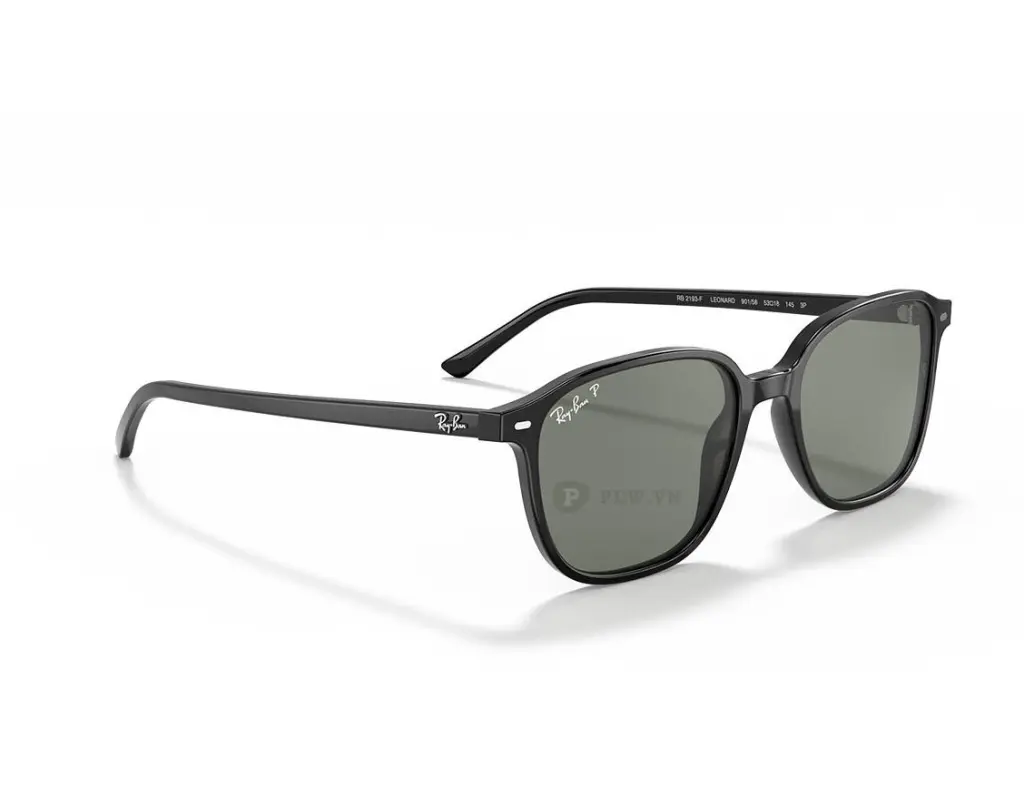 Ray-Ban Leonard RB2193F-901/58(55)