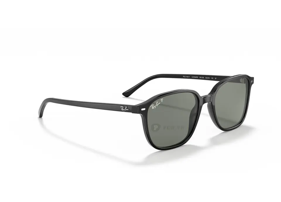 Ray-Ban Leonard RB2193F-901/58(55)