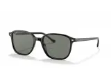 Ray-Ban Leonard RB2193F-901/58(55)